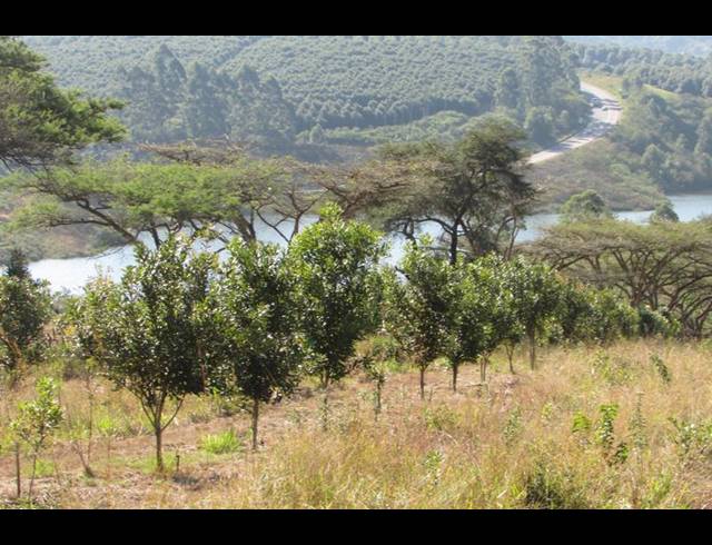 FARM FOR SALE IN WHITE RIVER RURAL